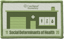 Social Determinants of Health badge